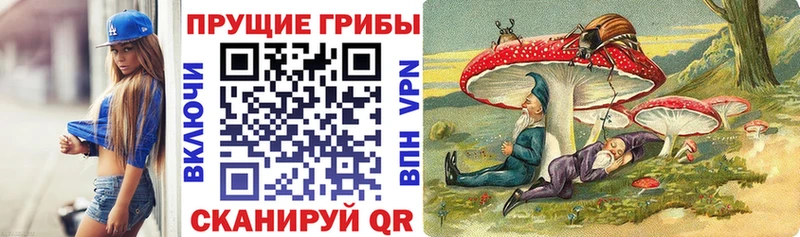 Псилоцибиновые грибы Psilocybine cubensis Мантурово